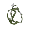 Zelená