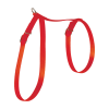 Červená