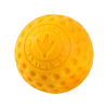 Oranžová