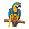 Modrá