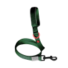 Tmavě zelená